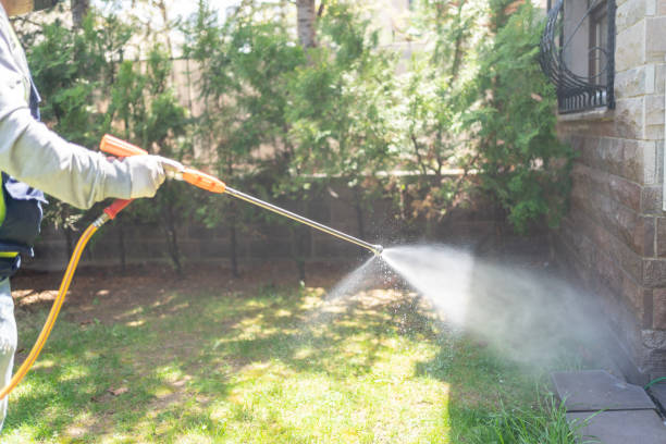 Best Wasp Removal Services  in Fremont, NC