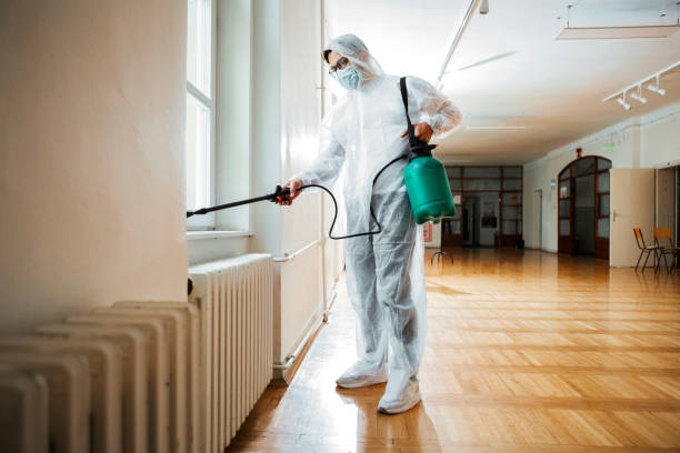 Wasp Removal Services in Fremont, NC